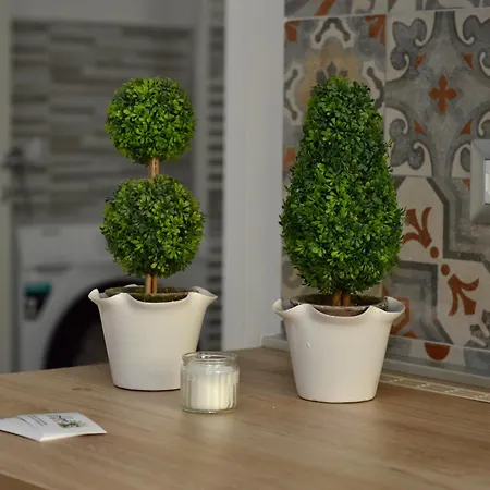 13 サン・グレゴーリオ・ディ・カターニア